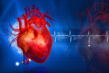 Современные подходы к профилактике и лечению кардиоваскулярных заболеваний