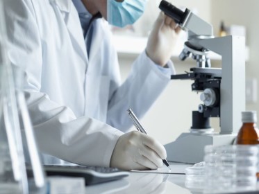 Статеві відмінності у переносимості анти-PD‑1-терапії