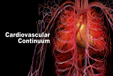 Актуальна тема «Раміприл як універсальна терапія на всіх етапах кардіоваскулярного континууму»
