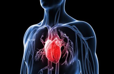Квертин – комплексний вплив на ішемічну хворобу серця