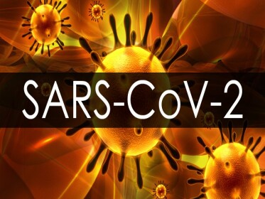 Апротинін пригнічує надходження SARS-CoV2 в клітини господаря