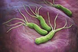 Вплив Helicobacter pylori на перебіг COVID-19