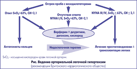 диета при прединфарктном периоде или звезды на кремлевской диете