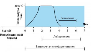 Рисунок 5. Эволюция симптомов и признаков при внезапной экзантеме (по T.P. Habif, 2015)