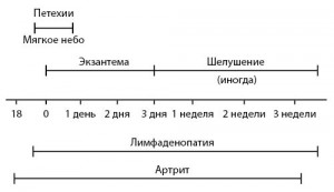 Рисунок 6. Эволюция симптомов и признаков при краснухе (по T.P. Habif, 2015)