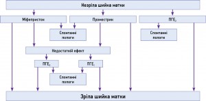 Схема 1. Алгоритм преіндукції пологів при незрілій шийці матки (оцінка за модифікованою шкалою Bishop 0‑5 балів)