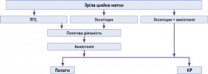 Схема 3. Алгоритм індукції пологів при зрілій шийці матки (за модифікованою шкалою Bishop 8 і більше балів)