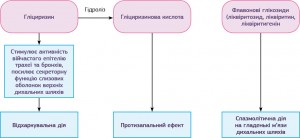 Рисунок. Механізм дії активних речовин екстракту із кореня солодки