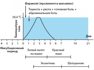 Рисунок 26. Эволюция симптомов и признаков при скарлатине (по T.P. Habif, 2015)