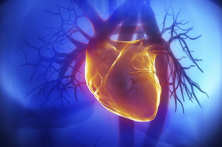 Прием макролидов связан с повышением кардиоваскулярного риска