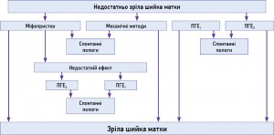 Схема 2. Алгоритм преіндукції пологів при недостатньо зрілій шийці матки (оцінка за модифікованою шкалою Bishop 6‑7 балів)