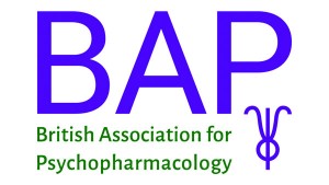 Рекомендации BAP_логотип