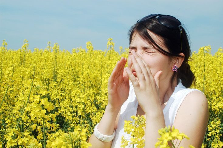 Більше 14 млн українців страждають від алергічних захворювань