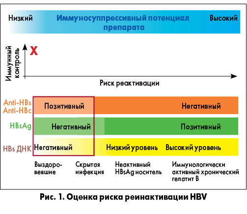 Доклад по теме Вірусний гепатит А