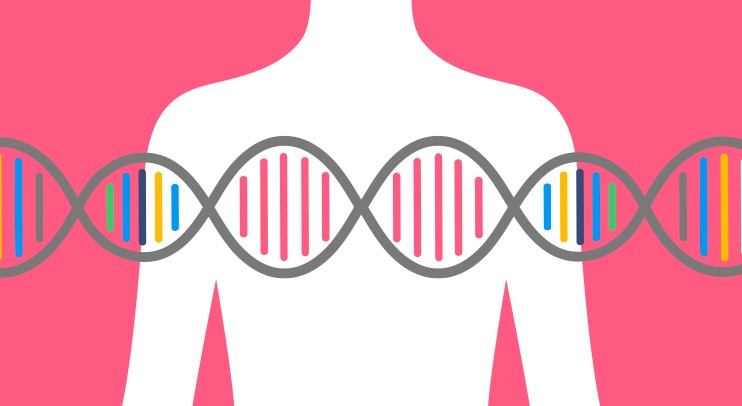 Вплив мутацій генів BRCA1/2 на вибір онкологічного лікування