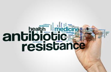 Борьба с антибиотикорезистентностью:  важен вклад каждого!