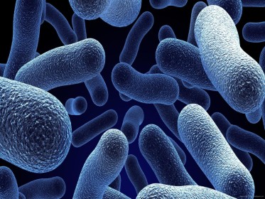 Saccharomyces boulardii: властивості та ефективність застосування