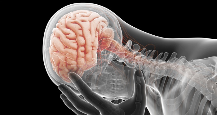 Гистопатологические изменения  в мозговой ткани при эпилепсии