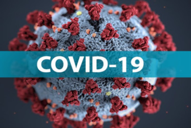 Коронавірусна хвороба 2019 (COVID-19)