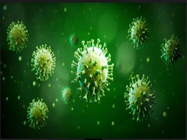 Точний механізм дії герпесвірусу вказує на потенційне лікування