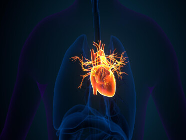 Нова технологія може підвищити якість діагностики та лікування клапанних захворювань серця