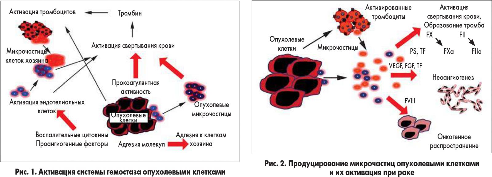 Тромбоциты при кровотечении. Рост опухолевых клеток. Фактор активации тромбоцитов. Активация тромбоцитов схема. Активация тромбоцитов (клеточный механизм).