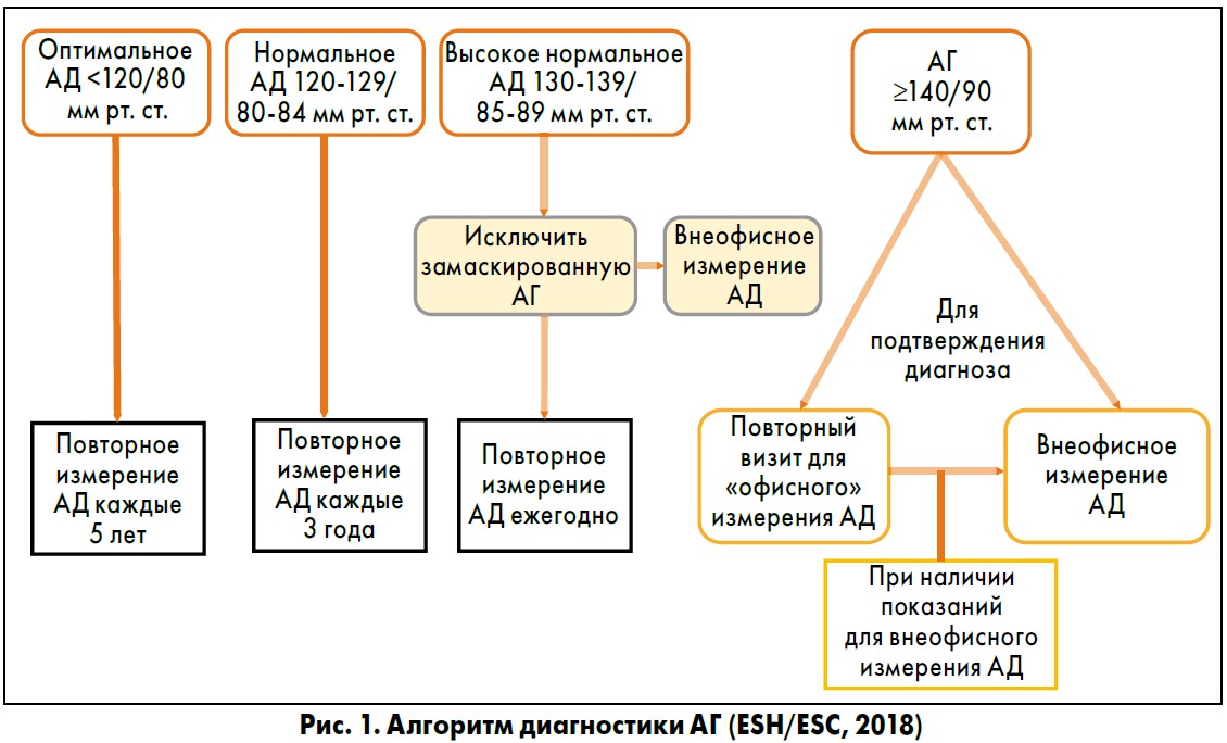 Схема лечения аг