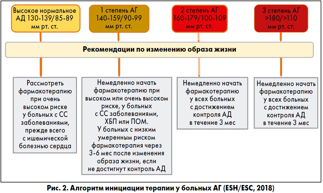 Схемы терапии аг