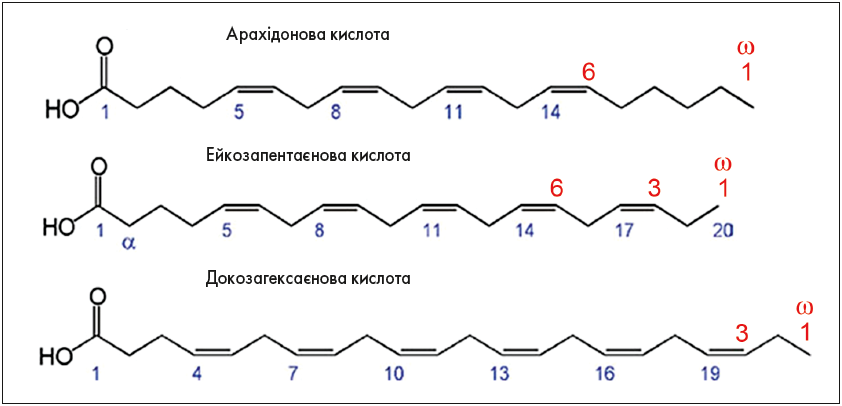 Рис. 1. Будова молекул ПНЖК