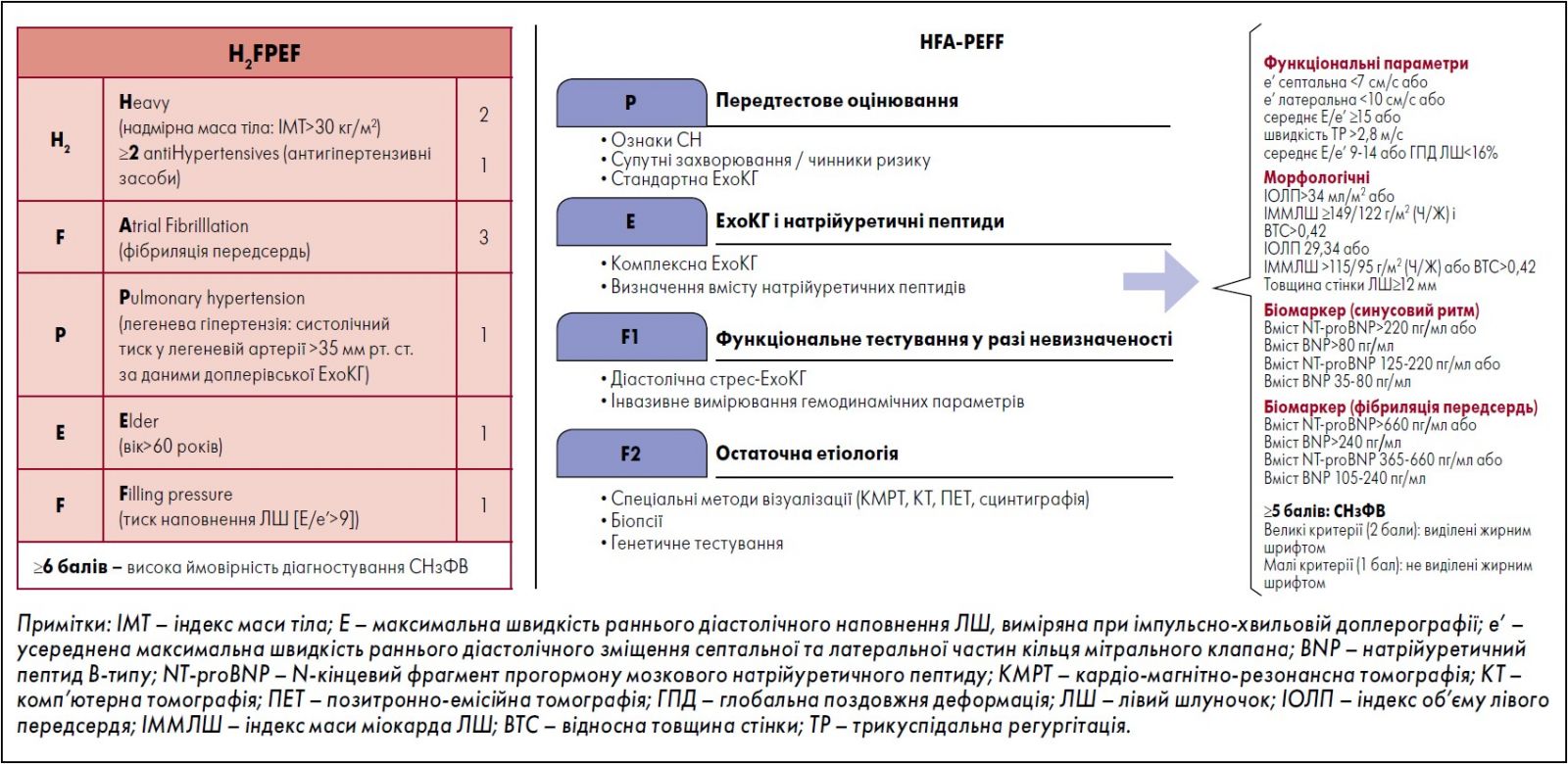 Рис. 4. Алгоритми оцінювання пацієнтів із підозрою на СНзФВ за шкалами H2FPEF (А) і HFA-PEFF (Б)