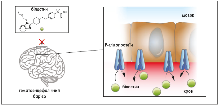 Рис. 3. Р-глікопротеїн – активний ефлюксний транспортер крізь ГЕБ