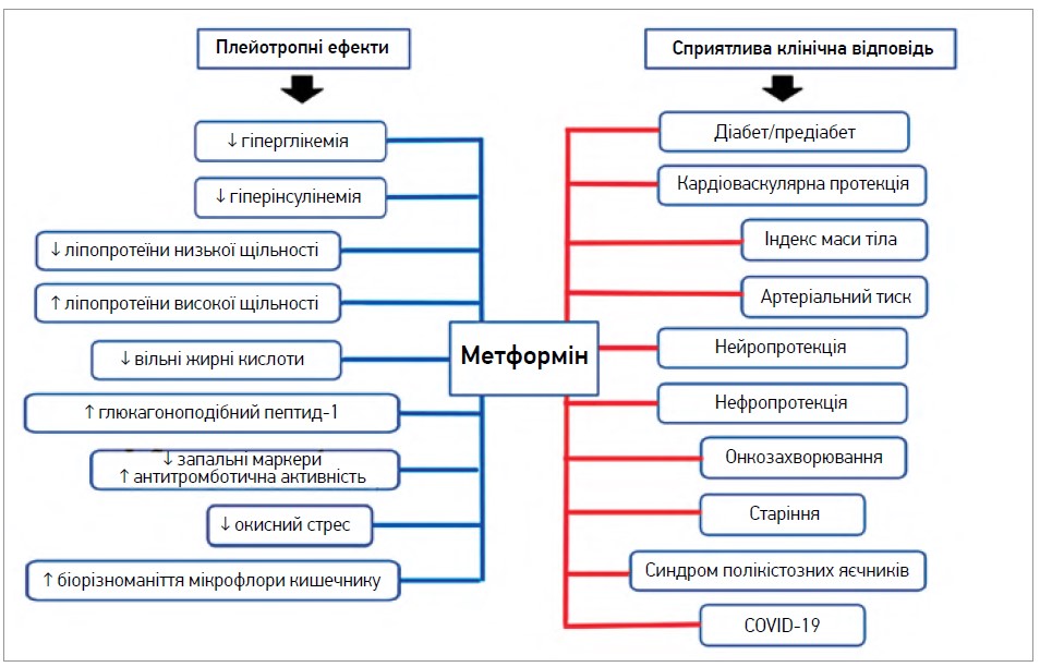 Рис. Клінічні переваги плейотропних ефектів метформіну