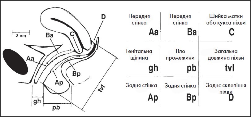 Akysh_3_2024_st12-15_pic13.jpg