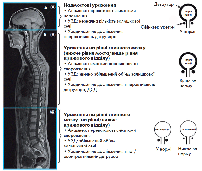 Akysh_4_2024_st25-35_pic1.png