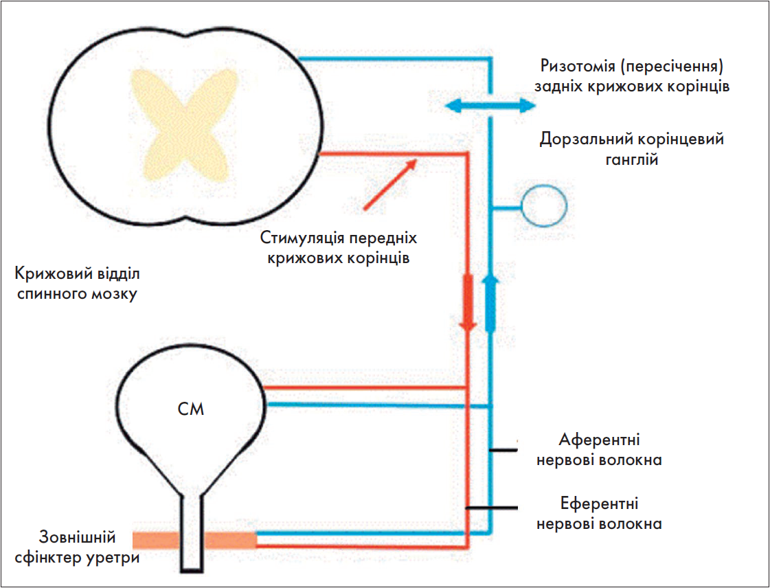 Akysh_4_2024_st25-35_pic19.png