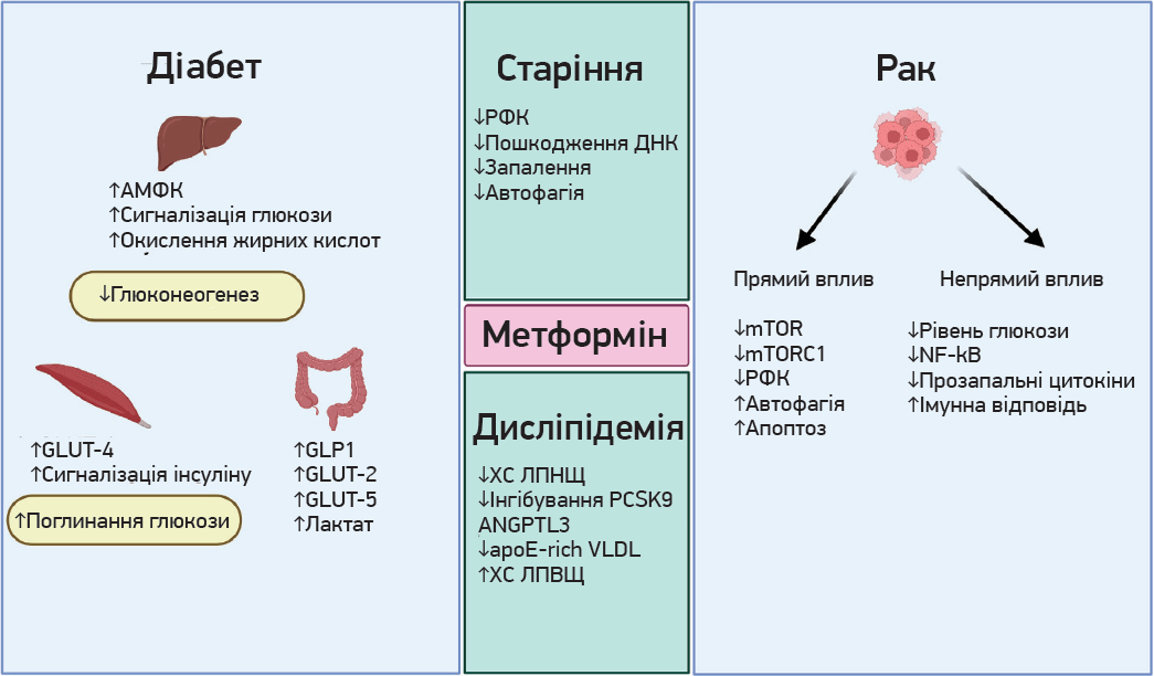 ZU_18_2024_st5-6_pic2.png