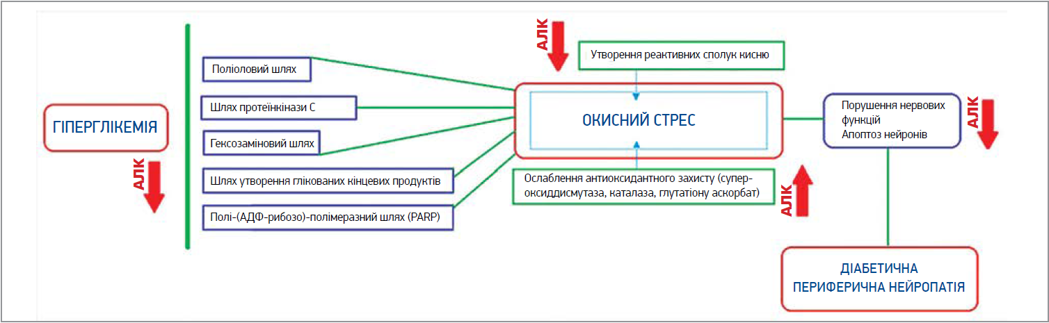 ZU_19-1_2024_st5_pic.webp