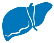 Gastro_2_2025_ris_1_str_23.webp