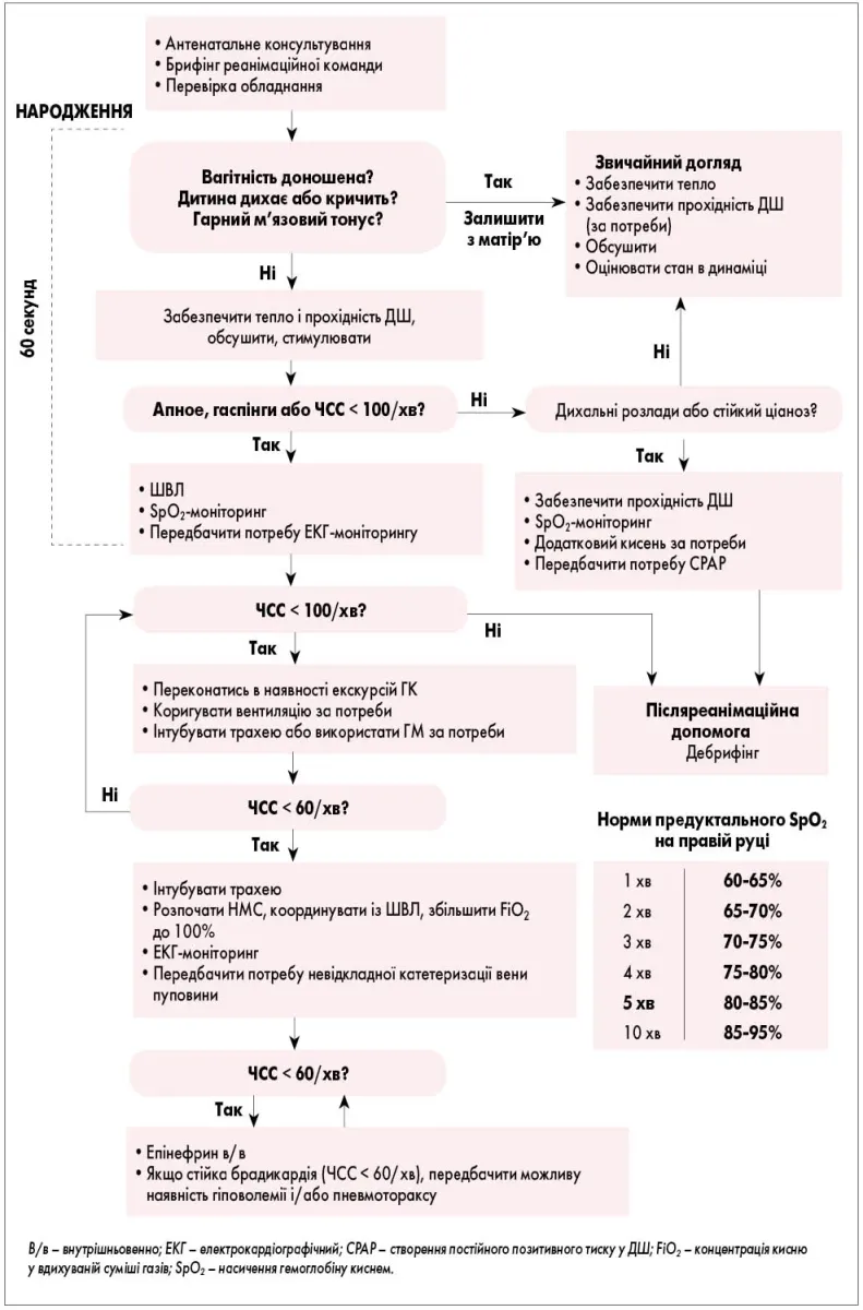 Pediatria_2_2025_algoritm_1_str_27.webp