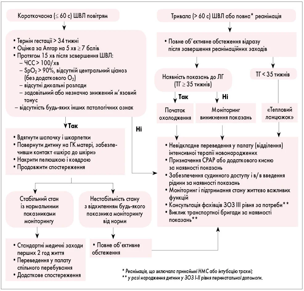 Pediatria_2_2025_algoritm_2_str_27.webp