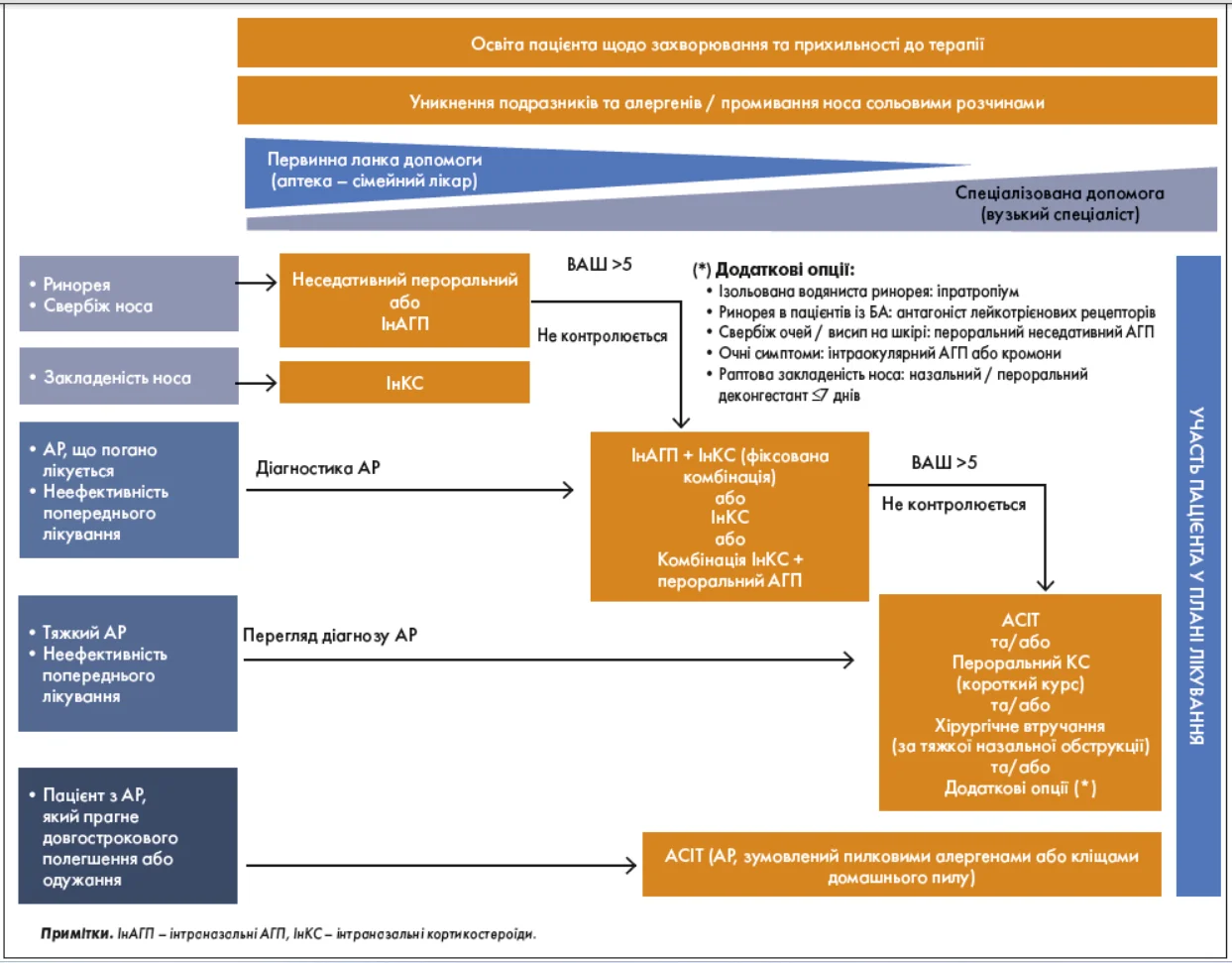 Рис. 3. Алгоритм лікування АР (адаптовано з Hellings та співавт., 2020) Pulm-_3-4_2025_p_10_pic_3.webp