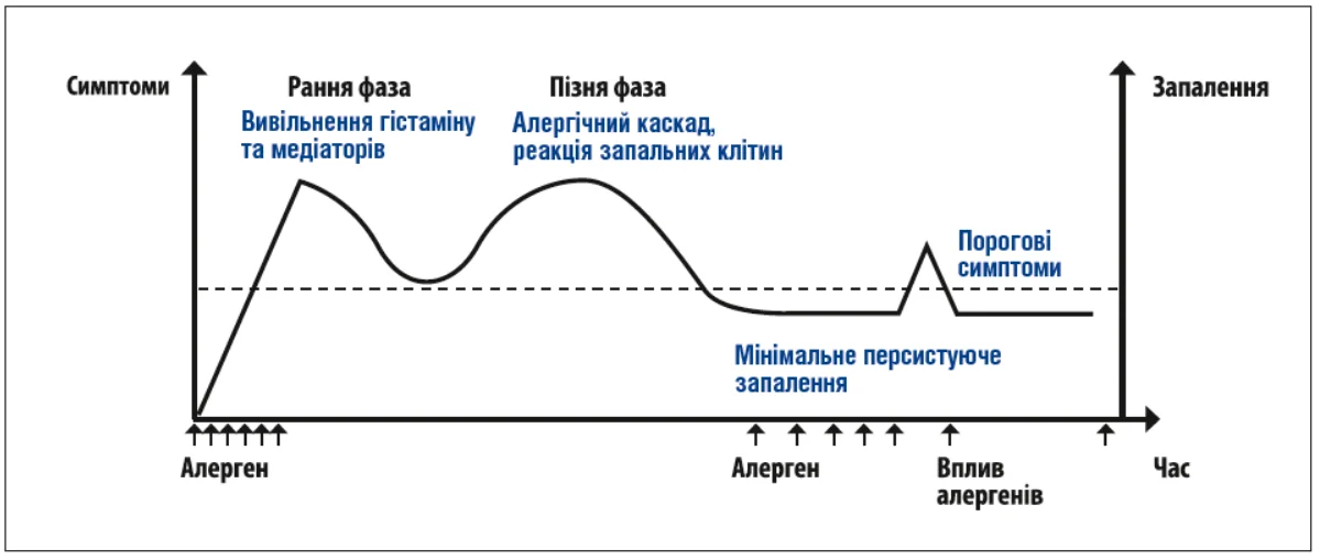 Рис. 1. Терміни розвитку алергічного запалення (адаптовано з Naidenova K. et al., 2019; Canonica G, 2009). Pulmo_2_2026_p14_3.webp