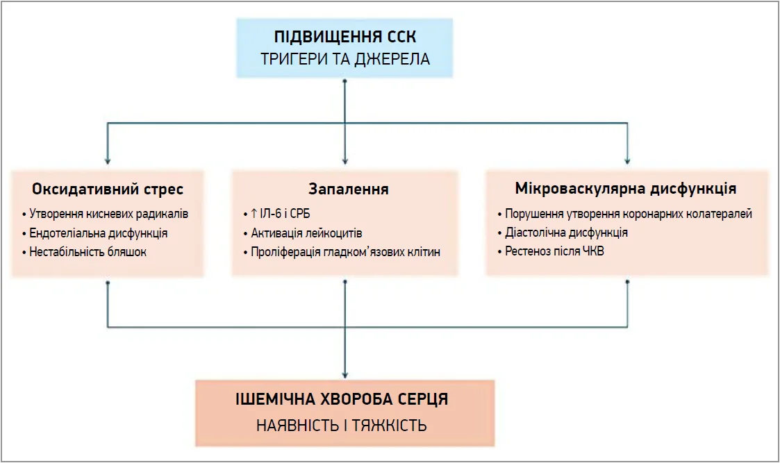 Рис.&nbsp;1. Механізми, які пов&rsquo;язують підвищені рівні ССК з&nbsp;підвищеними частотою та&nbsp;тяжкістю ІХС