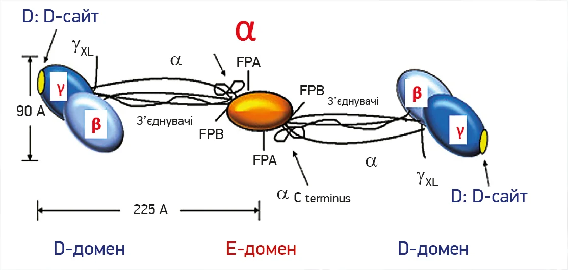 Рис.&nbsp;2. Структура ФМ
