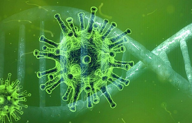 Новий штам коронавірусу SARS-CоV-2 викликає занепокоєння ВООЗ: що відомо
