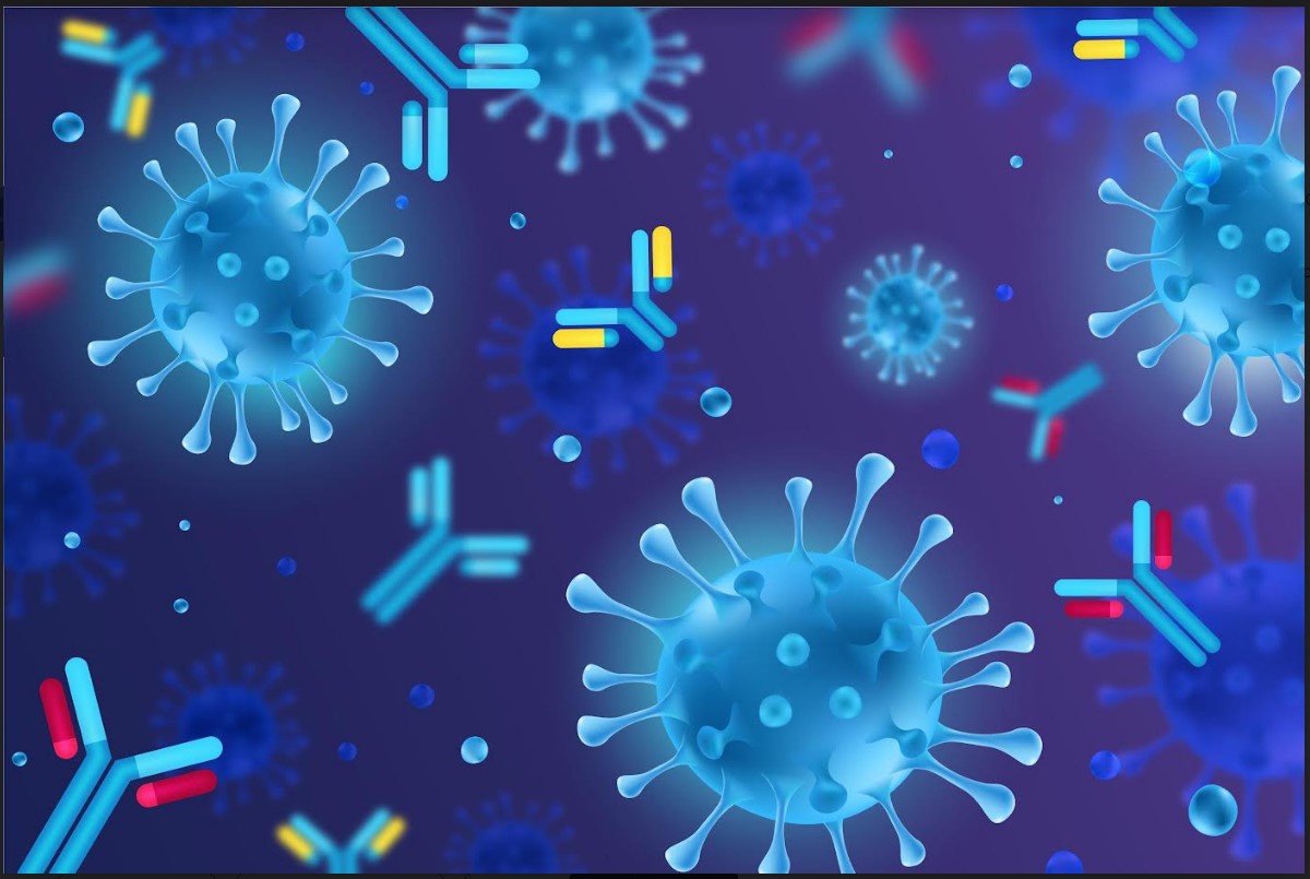 Дослідники виявили антитіло, яке здатне нейтралізувати як респіраторно-синцитіальний вірус, так і метапневмовірус людини