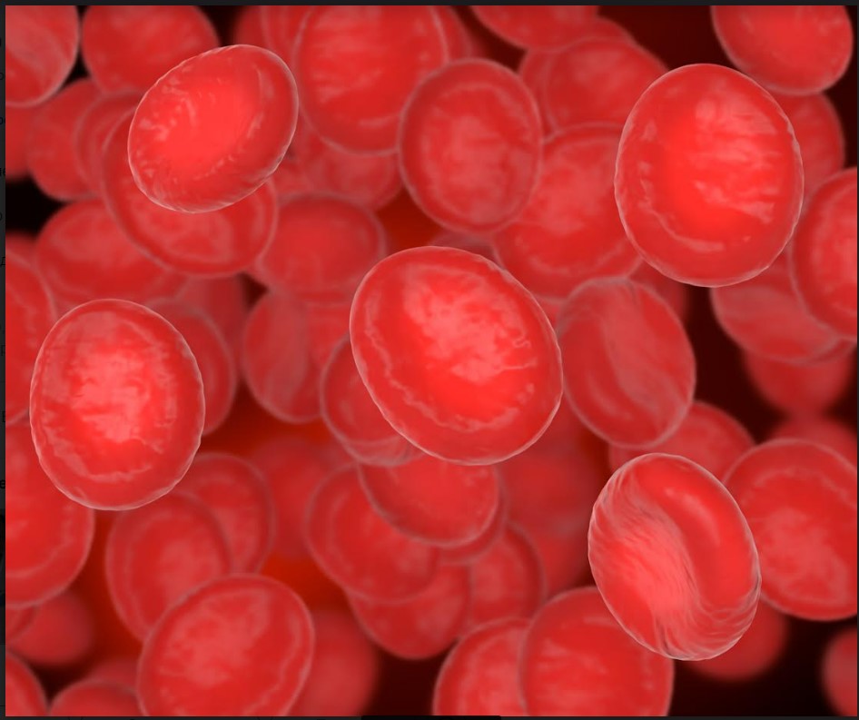Новий препарат проти згортання крові знижує ризики повторних інсультів