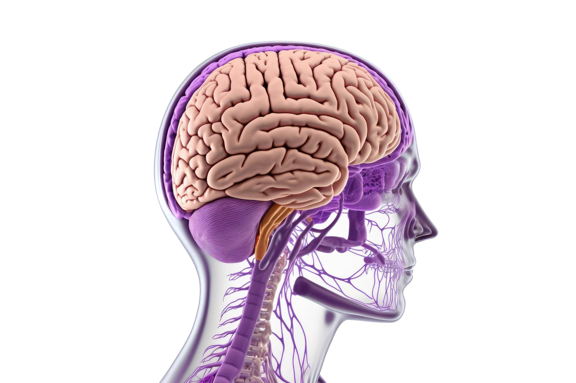 Високоадгезивний і міцний клей усуває численні обмеження за втручань на черепі