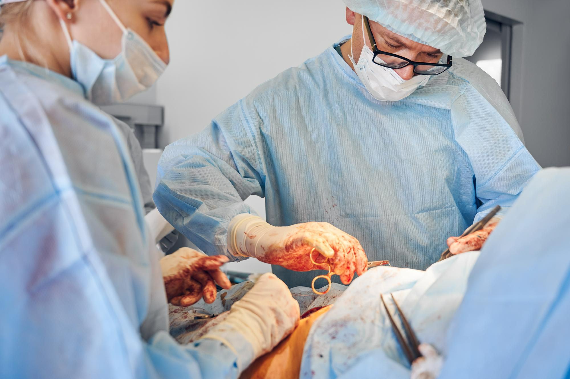 Американські хірурги вперше пересадили пацієнту генно-модифіковану нирку свині