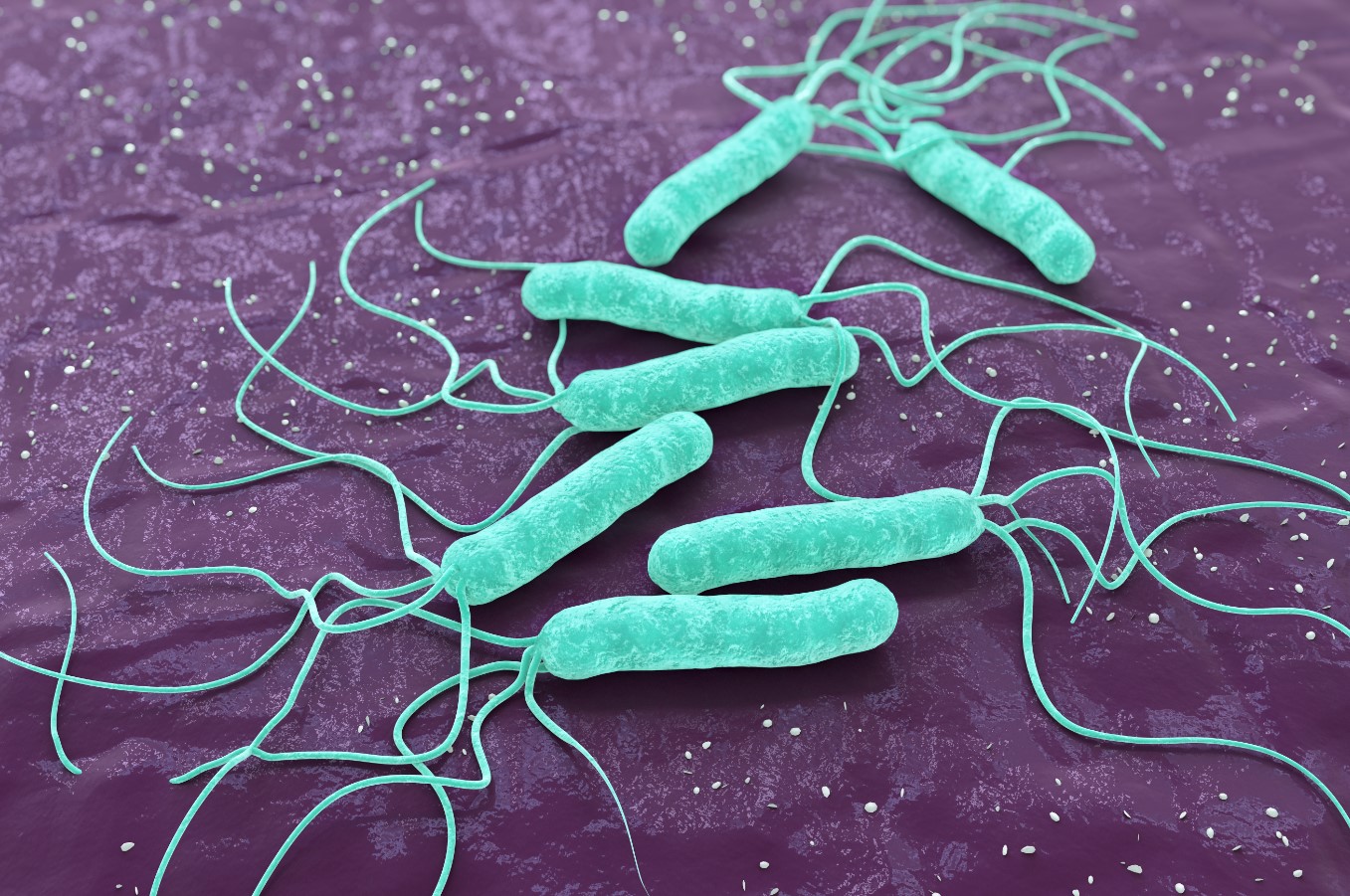 Маастрихтський консенсус VI щодо лікування інфекції Helicobacter pylori: фокус на стандартну потрійну терапію